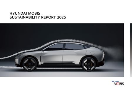 Cover of the source filing