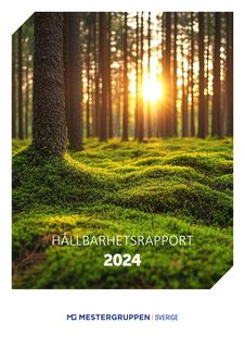 Cover of the source filing