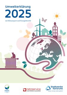 Cover of the source filing