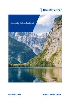 Cover of the source filing