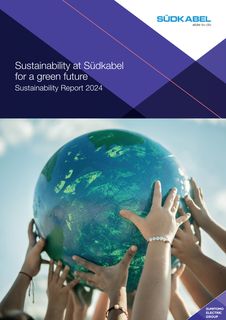 Cover of the source filing