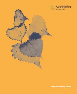 Cover of the source filing
