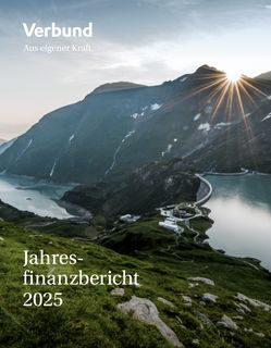 Cover of the source filing