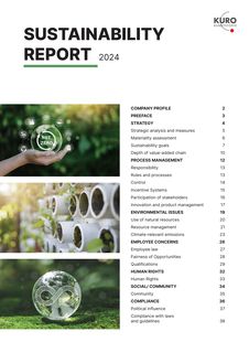 Cover of the source filing