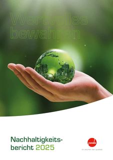 Cover of the source filing