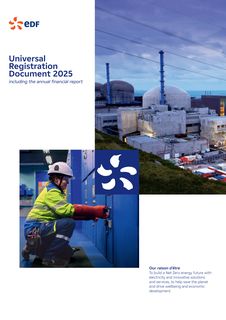 Cover of the source filing