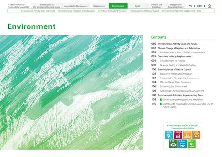 Cover of the source filing