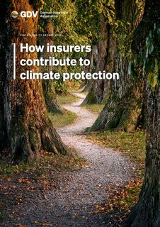 Cover of the source filing