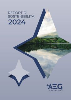 Cover of the source filing