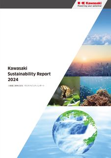 Cover of the source filing