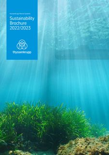 Cover of the source filing