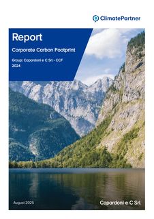Cover of the source filing
