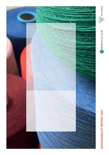 Cover of the source filing