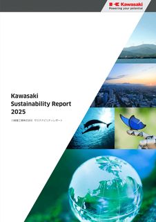 Cover of the source filing