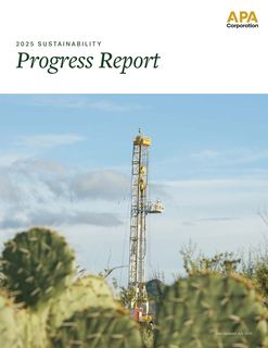 Cover of the source filing