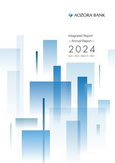 Cover of the source filing